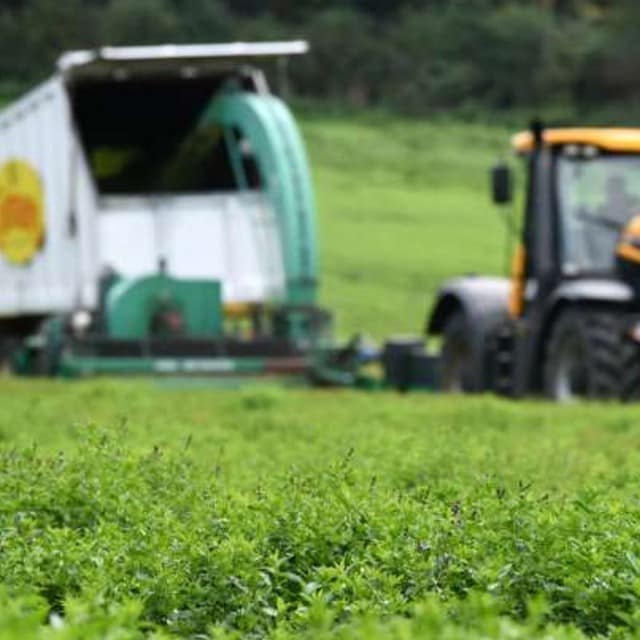 Backing British farming