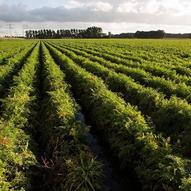 Sustainability Commitments