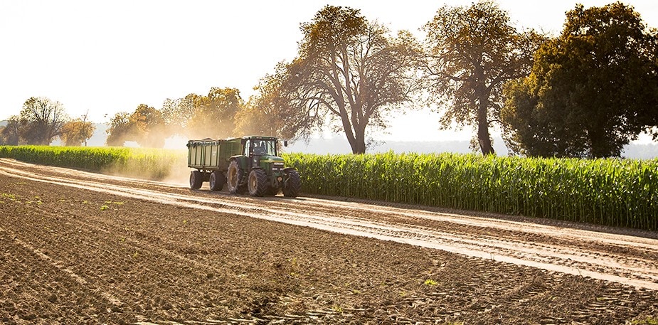 Sustainable Sourcing