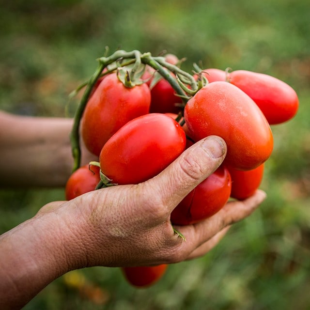 How can we do our bit as chefs and foodservice professionals? How can we do our bit as chefs and foodservice professionals?