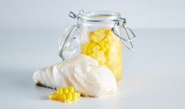 6. Fish and fermented corn 6. Fish and fermented corn