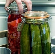 Sustainability Tips