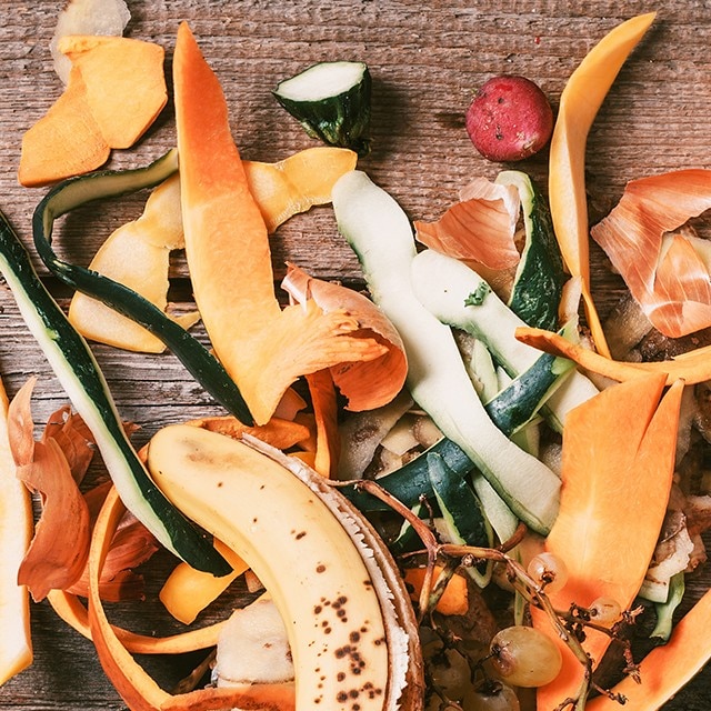 Fighting Food Waste One Dish At A Time