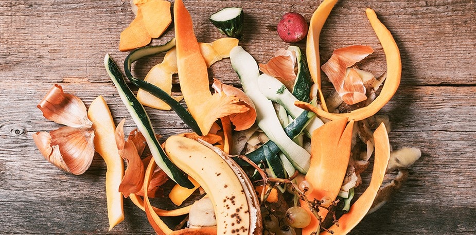 Fighting Food Waste One Dish At A Time