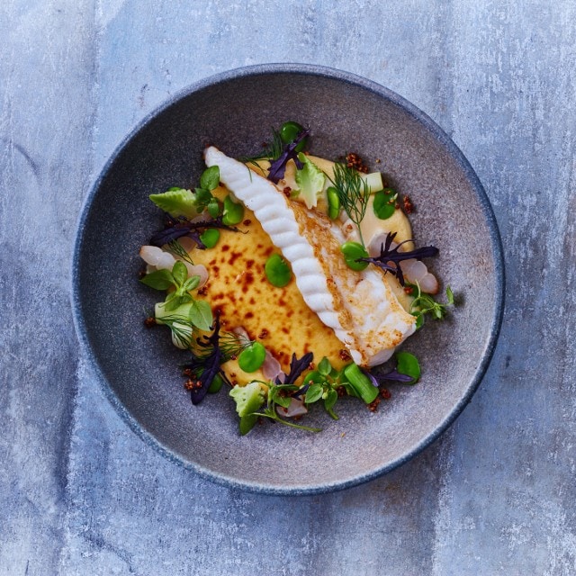 Plating inspiration and trends