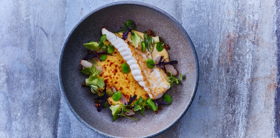 Plating inspiration and trends