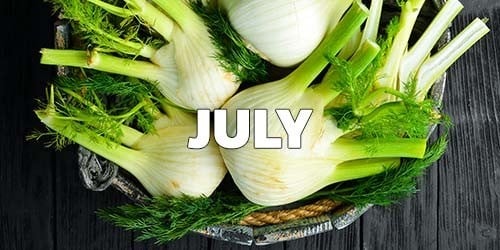 July Season