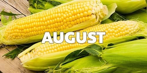 August Season