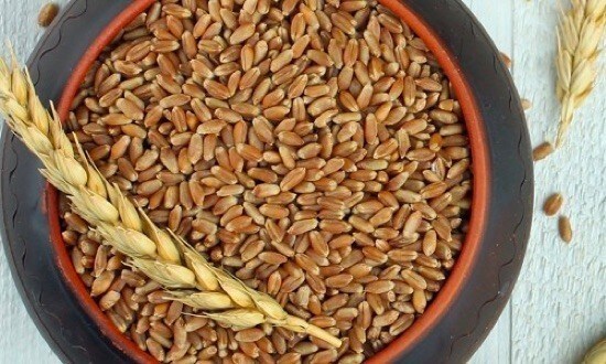 Ancient grains Ancient grains