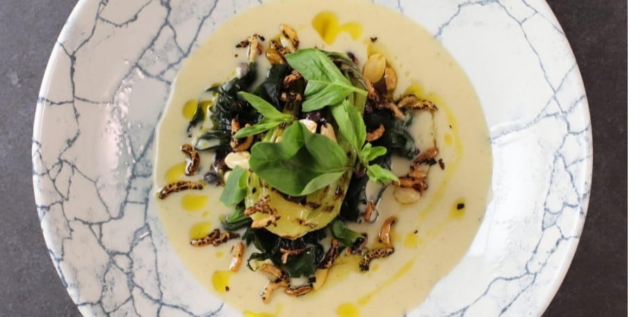 Hear What National Chef Of The Year Winners Have To Say About The Plant-Based Revolution