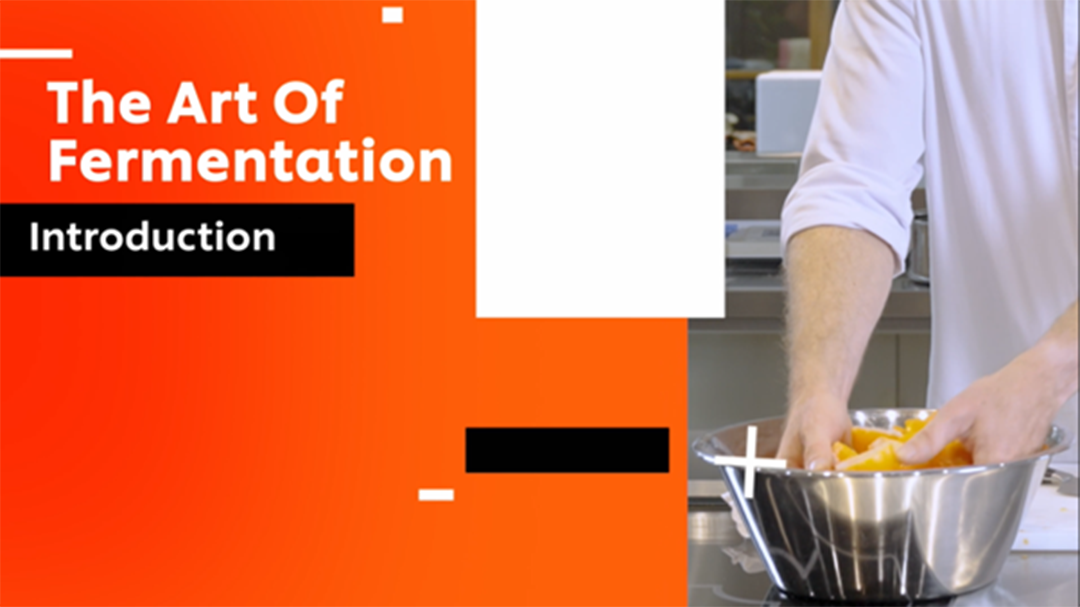 The Art of Fermentation: Introduction - Fermented Tomatoes