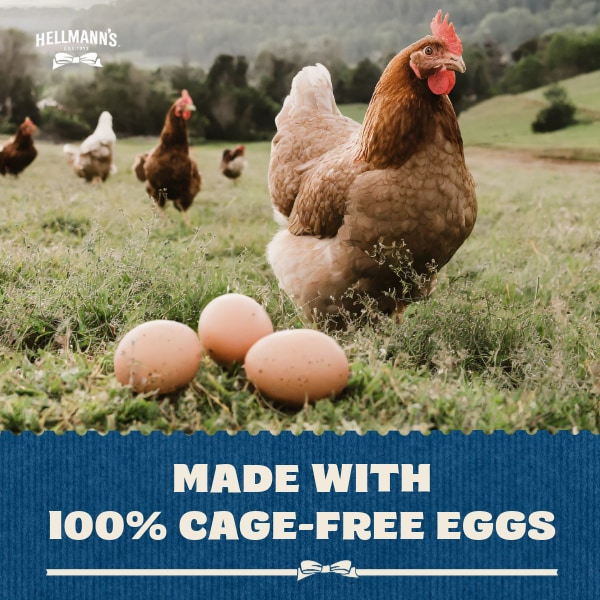 Hellmann’s Professional 10L bucket - Hellmann’s Professional delivers great performance in the toughest applications.