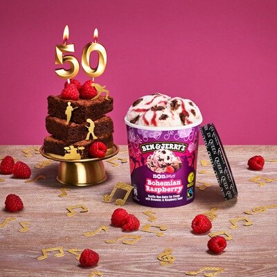 Ben & Jerry’s Bohemian Raspberry Non Dairy 465ml - 